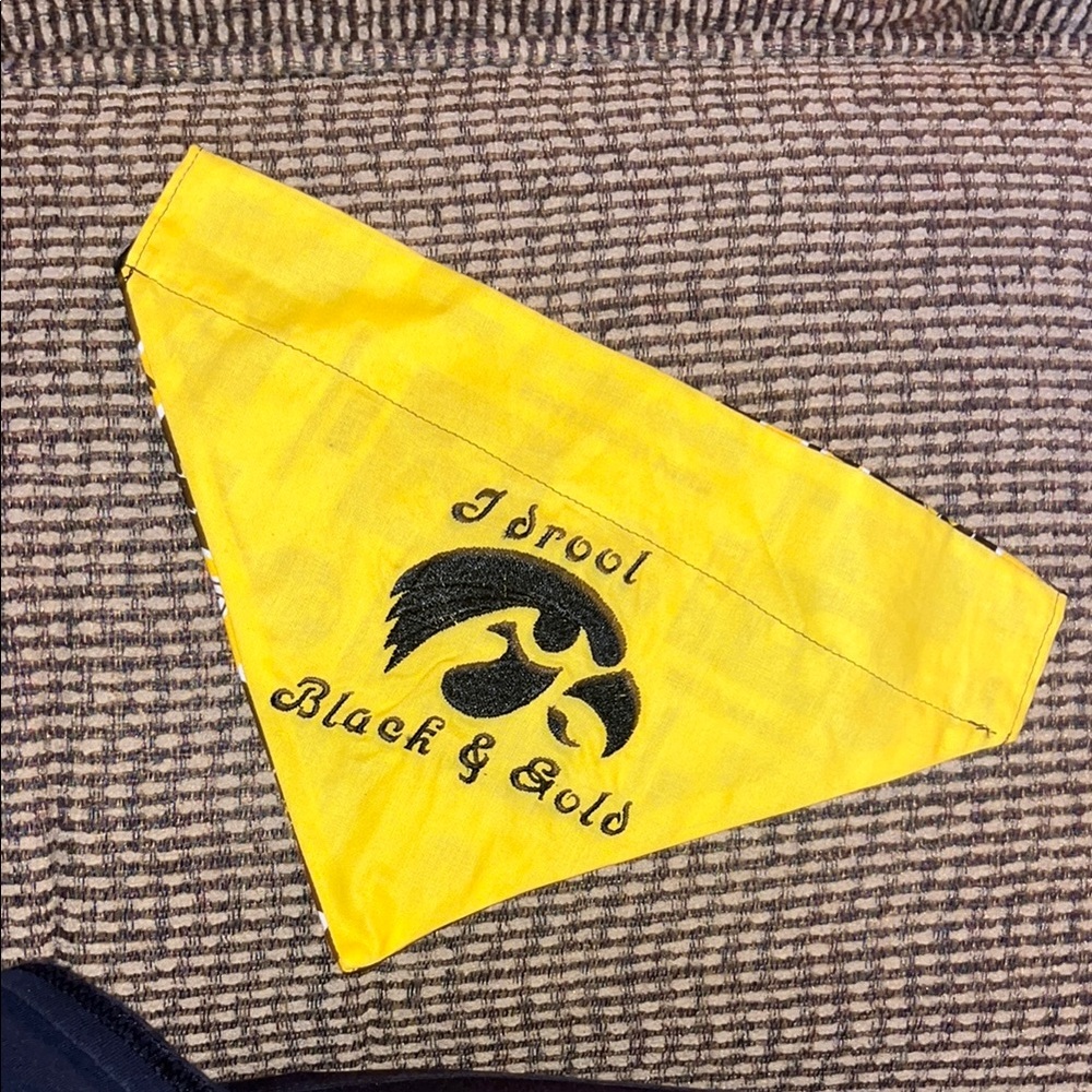 Iowa Hawkeye dog collar bandana